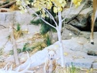 photos 2000-200901024